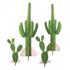 Cactus en carton  Accueil
